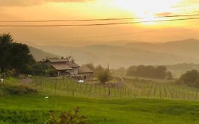 Fattoria Branciana