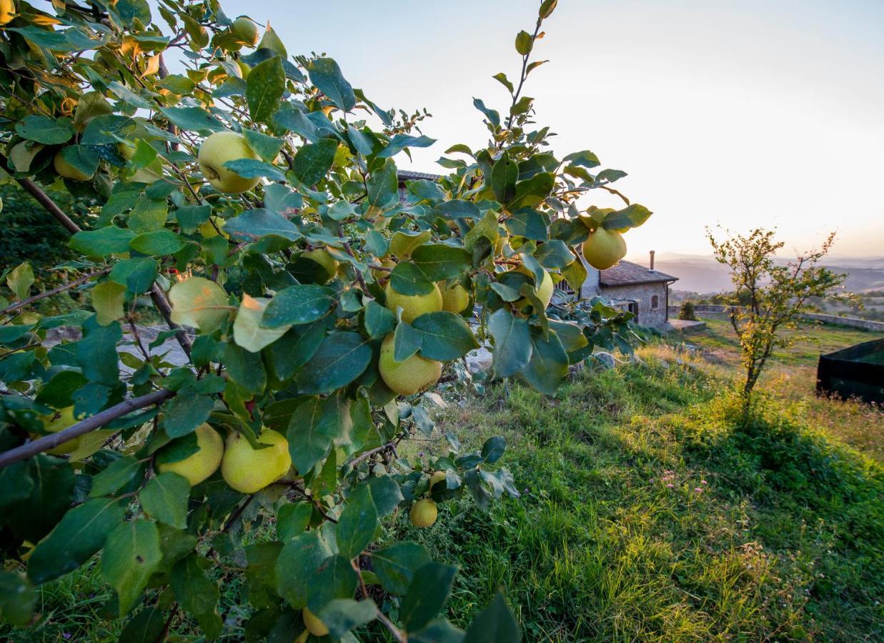 Bed and Breakfast Fattoria Branciana à Rossena Extérieur photo